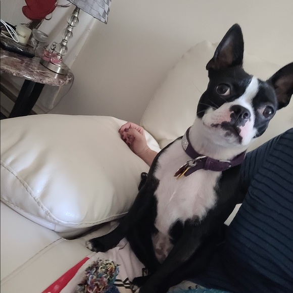 Meet your Posher, Jacque - Picture 1 of 5